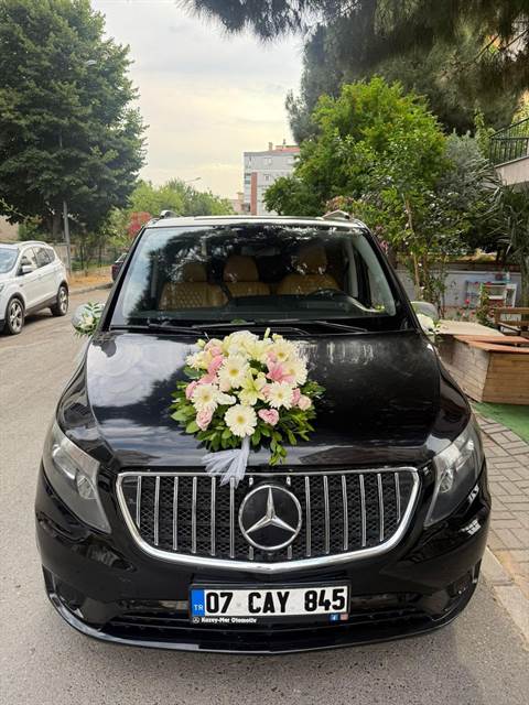 Düğün için süslenmiş VIP Vito